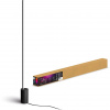 Stojacia lampa Philips Hue Gradient Signe stojaca čierna (915005987201)