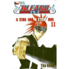 Bleach 11: A Star and a Stray Dog
