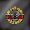 GUNS N ROSES - Greatest Hits (LP)