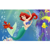 CUKROVÁ TLAČ jedlý obrázok na tortu Cukrová hmota Ariel Arielka Morská panna Disney