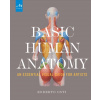 Basic Human Anatomy
