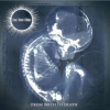 Sun Dont Shine - From Birth To Death [CD]