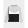 4F Jr sweatshirt 4FJAW23TSWSM630-27M (178715) Black/Green 140