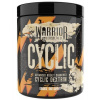 Warrior Cyclic (cyklický dextrin) 400 g - pomaranč