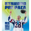 Striebro pre Paľa