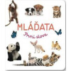 Mláďata První slova - autor neuvedený