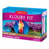 Terezia Company Klouby fit 60 kapsúl