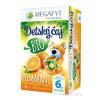MEGAFYT Detský čaj BIO POMARANČ ovocný čaj (od ukončeného 6. mesiaca) 20x2 g (40 g) Megafyt Pharma s.r.o.