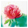 Obrúsky PAW L 25x25cm Peony Watercolor