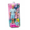 Mattel Barbie Ken na pláži HPL74