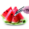 Drylownica na melóny z nehrdzavejúcej ocele I GENIETTI WATERMELON
