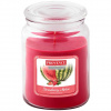 Provence Strawberry Melon 510 g