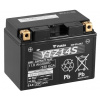 Yuasa YTZ14S