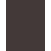Inebrya Bionic ASH 5/1 Light Chestnut Ash 100 ml