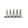 Sada hlavíc Torx T25-50 3/8