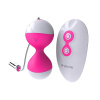 Nalone Miu Miu Kegel Exerciser