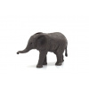 Mojo Slon africký sloníča