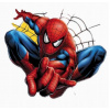 CUKROWY hmota Jedlý obrázok na tortu SPIDERMAN SPIDER-MAN + MENO POSTAVY 41