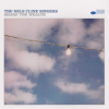 Nels Cline Singers - Share The Wealth / Vinyl / 2LP [2 LP]