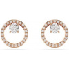 Swarovski 5692263