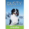 E-kniha Dusty: Zázrak o Vánocích - Jan Andersen