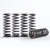 HINSO HI-TEMP CLUTCH SPRING KIT
