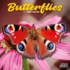 Butterflies, 30,5 x 30,5 30,5 x 61 cm 2026