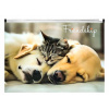 Obal na zips, A4, PP, 180 mikron, PANTA PLAST Friendship