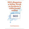 SEO diagnóza a léčba