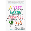 A Very Large Expanse of Sea - Tahereh Mafi