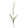 Bloomingville Umelá kvetina FOXTAIL V.73cm biela