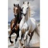 Diamantový obraz biely a hnedý kôň