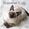 Cats Siamese, 30,5 x 30,5 30,5 x 61 cm 2026