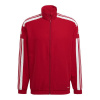 adidas Squadra 21 M GP6446