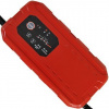 Solution CHARGER 12/24V 25Ah