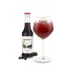 Monin sirup Rybíz černý 0,25l