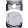 Piest NÜRAL (FEDERAL-MOGUL) 87-102700-10