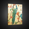 Obraz na plátne obdĺžnik - OB0948 - Páv 60cm x 40cm - O4