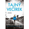 Tajný večírek (Patricia Gibney)