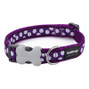 Red Dingo White Spots On Purple - obojok pre psov - dĺžka 41-63 cm (L)