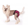 Tommi Bunda L
