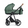 Roan Ivi 2.0 kombinovaný kočík Autosedačka (vajíčko): Bez autosedačky, Farba: Boho green
