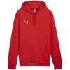 Puma Team Goal Casuals Hoody M 658618 01 (191330) Black L