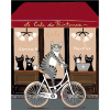 Zuty Diamantové maľovanie KOCÚR NA BICYKLI PČervená KAVIARŇOU 40x50 cm vypnuté plátno na rám