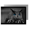 Natec OWL 13.3'' 16:9