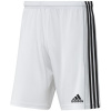 Adidas Squadra 21 Short Youth Jr GN5766 (69641) NAVY BLUE 140cm