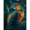 Norimpex Diamantové maľovanie Papagáj 30 x 40 cm