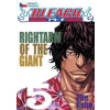 Bleach 5 - Kubo Tite