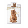 FARO obliečky Mačka hrdzavá bavlna 140x200 70x90