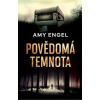 Povědomá temnota (Amy Engel)